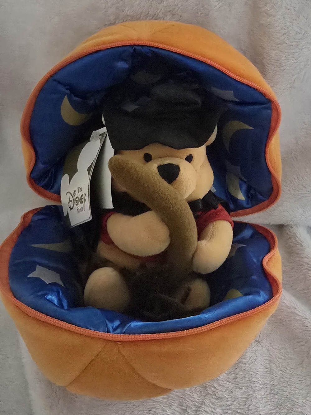 Disney Winnie the Pooh Plush in Orange Pumpkin Case with Blue Star Lining